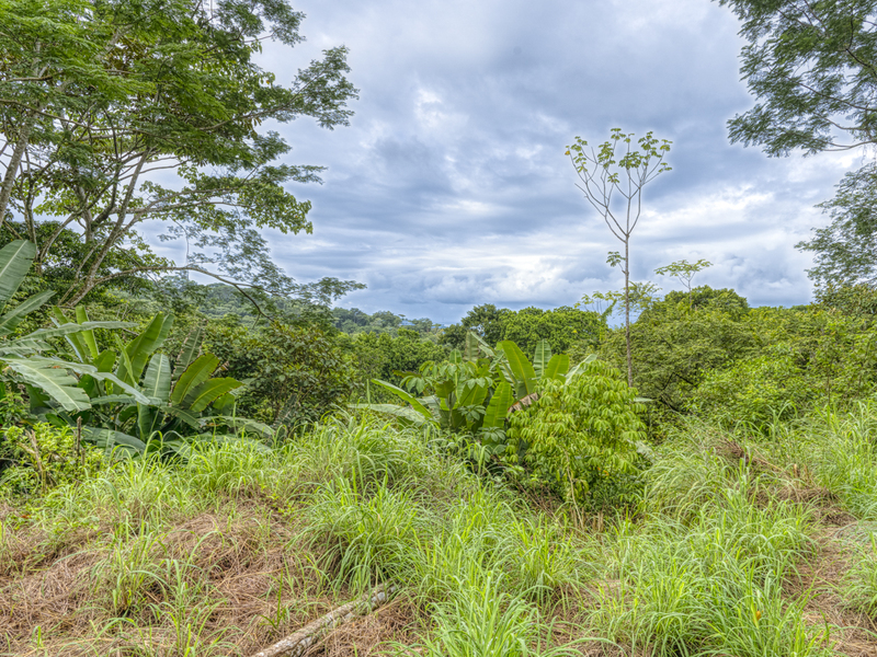 0 bed Land For Sale in Uvita, Puntarenas - 1